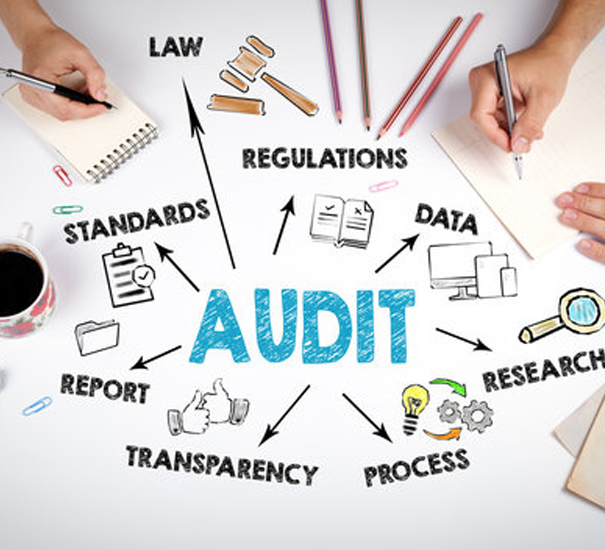 Auditing Serices